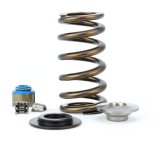 COMP Cams 11-14 Ford Coyote/Boss 5.0L .600in Max Lift Valve Spring Kit w/ Ti Retainers thumbnail 1