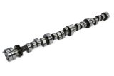 COMP Cams Camshaft CRH XR286HR-10 66-71 Chrysler 426 Hemi 8 Cyl thumbnail 2