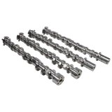 COMP Cams Camshaft Set 2018+ Ford Coyote 5.0L STG1 NST Thumper thumbnail 1