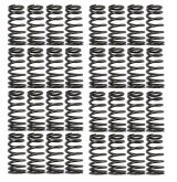 COMP Cams Valve Springs Ford 4.6L 2 Valve thumbnail 1