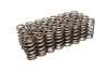 COMP Cams Valve Springs Ford 4.6L 2 Valve thumbnail 6