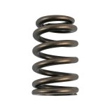 COMP Cams Valve Springs Ford 4.6L 4 Valve thumbnail 1