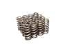 COMP Cams Valve Springs Ford 4.6L 4 Valve thumbnail 6