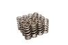 COMP Cams Valve Springs Ford 4.6L 4 Valve thumbnail 7