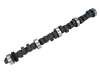 COMP Cams Camshaft FF 280H-10 thumbnail 6
