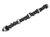 COMP Cams Camshaft FF 279T H-107 T Thumper thumbnail 4