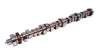 COMP Cams Camshaft FF 291Th R7 Thumper thumbnail 6
