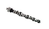 COMP Cams Camshaft FW XE276HR-12 thumbnail 2