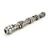 COMP Cams Camshaft GM Gen V LT1 Ltav 27 thumbnail 6