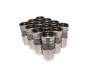 COMP Cams Pro-Mag Hydr Lifters Buick 35 thumbnail 6