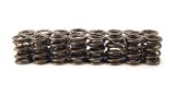 COMP Cams Valve Springs 1.550in 2 Spring thumbnail 1