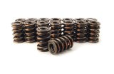 COMP Cams Valve Springs 1.550in 2 Spring thumbnail 1