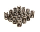 COMP Cams Valve Spring 1.450in Outer W/D thumbnail 1