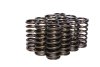 COMP Cams Valve Springs 0.970in Inner thumbnail 6