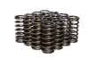 COMP Cams Valve Springs 0.960in Inner R thumbnail 6