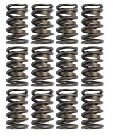 COMP Cams Valve Springs 1.430in Outer W/ thumbnail 1