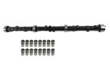COMP Cams Cam & Lifter Kit A6 X4 262H thumbnail 4
