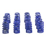 COMP Cams GM 603/604 0.570in Lift 1.077/1.282 OD Beehive Hustler Valve Spring Kit thumbnail 4