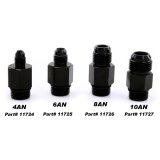 Nitrous Express 6AN Bottle Nipple for Lightning 500 Valve thumbnail 1