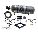 Nitrous Express 4500 Assassin Plate Pro Power Nitrous Kit (100-500HP) w/12lb Bottle thumbnail 2