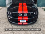 Raxiom 05-12 Ford Mustang GT LED Halo Fog Lights (Smoked) thumbnail 4