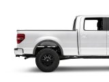 Raxiom 09-14 Ford F-150 Styleside Tail Lights- Chrome Housing - Red/Clear Lens thumbnail 8
