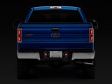 Raxiom 10-14 Ford F-150 Axial Series LED License Plate Lamps- Red and White thumbnail 5