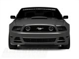 Raxiom 13-14 Ford Mustang GT CCFL Halo Fog Lights- Chrome thumbnail 2