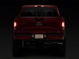 Raxiom 15-23 Ford F-150 Axial Series OEM Replacement License Plate Lamps thumbnail 2
