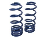 Ridetech 68-72 GM A-Body StreetGRIP Dual-Rate Coil Springs Rear Pair thumbnail 1