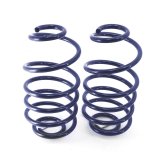 Ridetech 68-72 GM A-Body StreetGRIP Dual-Rate Coil Springs Rear Pair thumbnail 2