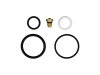 ICON 2.5 IFP Rebuild Kit - Viton thumbnail 4