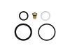 ICON 2.5 IFP Rebuild Kit - Viton thumbnail 5