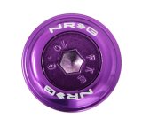 NRG Fender Washer Kit w/Color Matched M6 Bolt Rivets For Plastic (Purple) - Set of 10 thumbnail 5