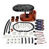 DeatschWerks 2.0L Staged Fuel Cell Surge Tank (Includes 4 DW200 Fuel Pumps) thumbnail 4