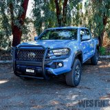 Westin 16-21 Toyota Tacoma Sportsman X Grille Guard - Tex. Blk thumbnail 2