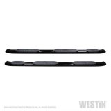 Westin 19-22 RAM 1500 CC 5ft7in. Bed (Excl. Classic) PRO TRAXX 5 W2W Oval Nerf Step Bars - Black thumbnail 3