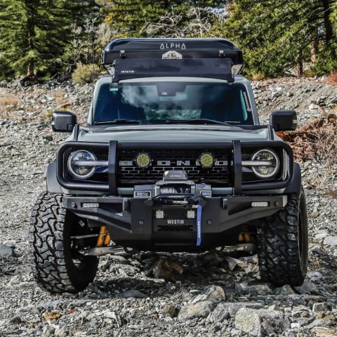Westin 21-23 Ford Bronco (Excl. Bronco Sport) w/ XTS Front Bumper Brush Guard - Textured Black thumbnail 7