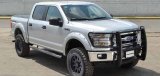Go Rhino 15-17 Ford F-150 (Excl. ACC Models) 3000 Series StepGuard Center Grille + Brsh Grd - Chrome thumbnail 3