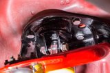 UMI Performance 93-02 Chevrolet Camaro Double Adj. Front Coilover Kit (Spring Rate 550lb) thumbnail 9