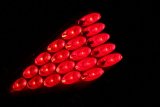 ANZO 2003-2005 Nissan 350Z LED Taillights Black thumbnail 2