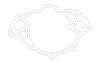Cometic Ford 351W Windsor V8 .018in AFM Water Pump Gasket - SVO thumbnail 6