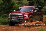 Diode Dynamics 18 In LED Light Bar Single Row Straight Clear Driving Each Stage Series thumbnail 5