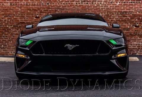 Diode Dynamics 18-23 USDM Ford Mustang RGBWA DRL LED Boards thumbnail 3