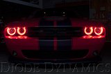 Diode Dynamics 15-21 Dodge Challenger RGBW DRL LED Boards thumbnail 5