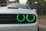 Diode Dynamics 15-21 Dodge Challenger RGBW DRL LED Boards thumbnail 6