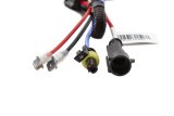 Diode Dynamics HID Bulb D2H 5000K (Pair) thumbnail 3