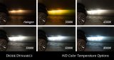 Diode Dynamics HID Bulb D2H 5000K (Pair) thumbnail 5
