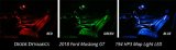 Diode Dynamics 18-19 Mustang Stage 1 Mustang Interior LED Light Kit - Blue thumbnail 8
