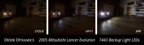Diode Dynamics 7443 LED Bulb HP11 LED - Cool - White (Pair) thumbnail 4